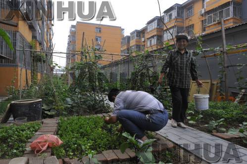 http://www.yisela.cn/uploadfile/2014/0714/20140714024832334.jpg