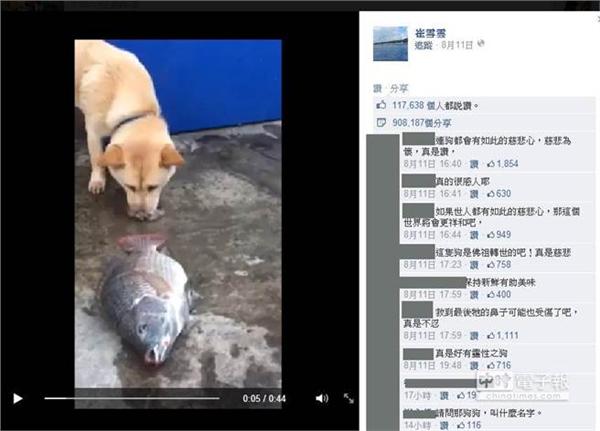http://www.yisela.cn/uploadfile/2014/0814/20140814043111323.jpg