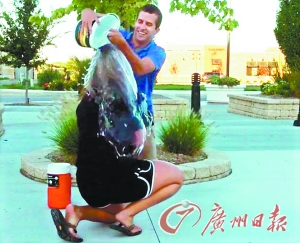 http://www.yisela.cn/uploadfile/2014/0822/20140822105915789.jpg