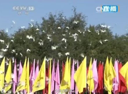 http://www.yisela.cn/uploadfile/2014/0903/20140903023541658.jpg
