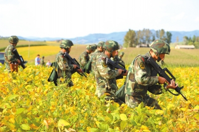 http://www.yisela.cn/uploadfile/2014/0905/20140905085547852.jpg