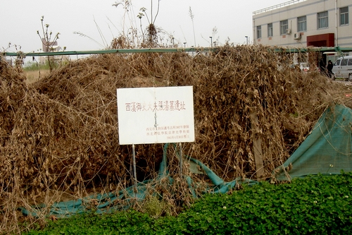http://www.yisela.cn/uploadfile/2014/0910/20140910113709853.jpg
