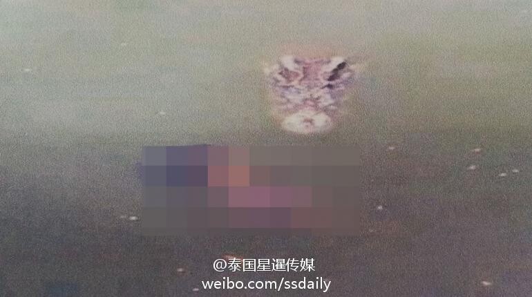 http://www.yisela.cn/uploadfile/2014/0916/20140916022209991.jpg