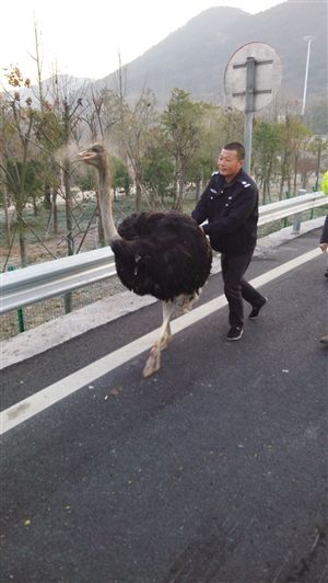 http://www.yisela.cn/uploadfile/2014/1223/20141223100232540.jpg