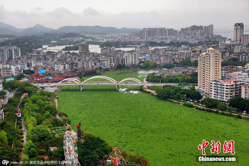 http://www.yisela.cn/uploadfile/2015/0410/20150410114936442.jpg