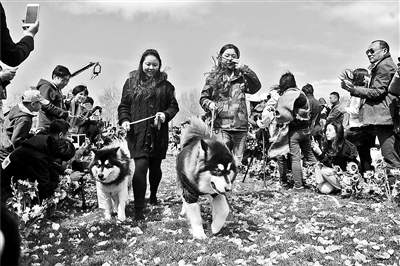 http://www.yisela.cn/uploadfile/2015/0413/20150413022443135.jpg
