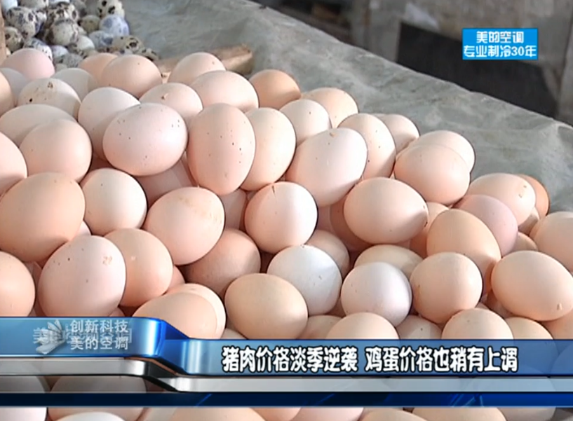 豬肉價格淡季逆襲 雞蛋價格稍有上調(diào)
