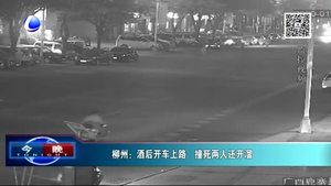 酒后開(kāi)車(chē)上路 撞死兩人還開(kāi)溜