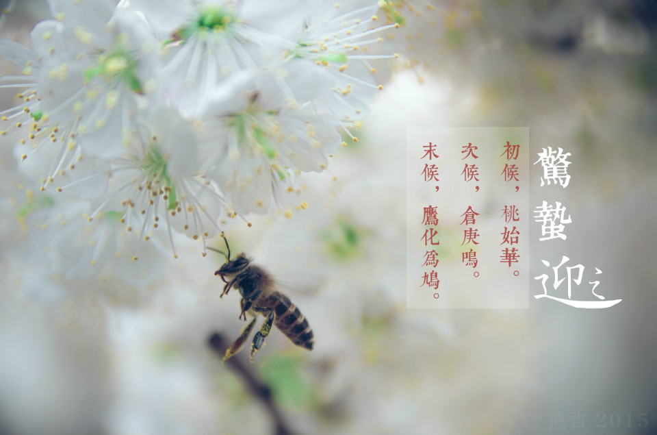 驚蟄吃這5種蔬菜，養(yǎng)生排毒效果佳