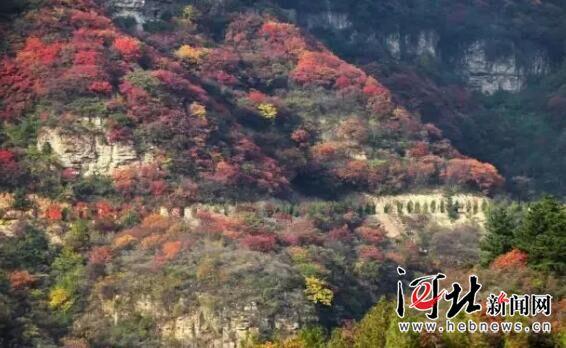 駝梁、大海陀自然保護(hù)區(qū)建設(shè)項目獲準(zhǔn)立項
