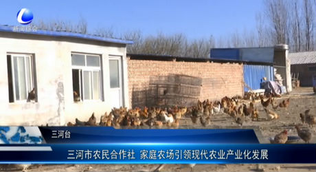 三河市農(nóng)民合作社 家庭農(nóng)場引領現(xiàn)代農(nóng)業(yè)產(chǎn)業(yè)化發(fā)展