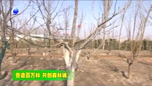 香河縣今春計劃造林11.2萬畝 打造綠色生態(tài)家園