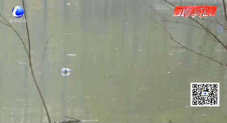 文明是最美的風景 游園請帶上文明