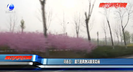 尋春去！廊萬(wàn)路兩側(cè)風(fēng)景美如畫(huà)