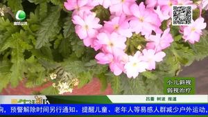 春季養(yǎng)花要做到六不急