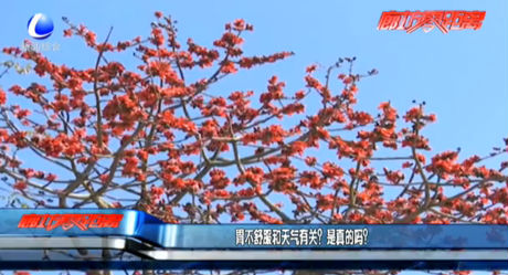 胃不舒服和天氣有關(guān)？是真的嗎？
