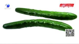 頂花帶刺黃瓜涂過避孕藥？專家；不可信