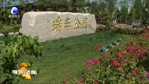 市政協(xié)委員圍繞主城區(qū)建設(shè)開展視察和協(xié)商議政活動(dòng)