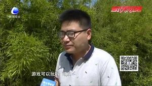 沉迷手機(jī)的孩子 內(nèi)心快樂嗎？