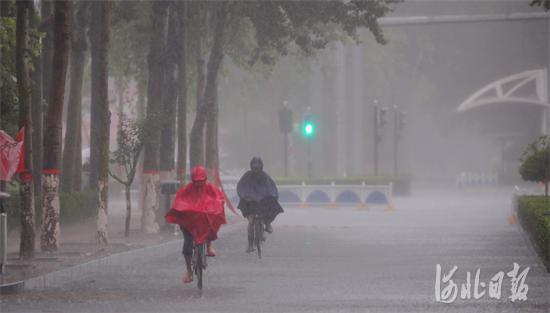 廊坊多部門聯(lián)動全力應(yīng)對臺風(fēng)“安比”強(qiáng)降雨