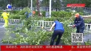 綜合執(zhí)法局冒雨清理倒伏樹木 及時疏導(dǎo)保證市民通行安全