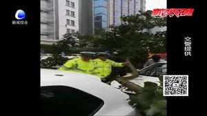 雨天大樹(shù)傾倒砸轎車(chē) 交警第一時(shí)間救人