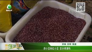赤小豆和紅小豆 您分得清嗎？