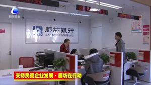 人行廊坊中心支行強(qiáng)化金融服務(wù)功能 助推民營企業(yè)快速發(fā)展