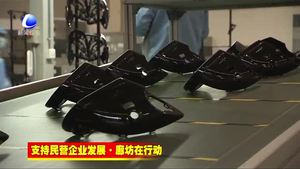 香河新興產(chǎn)業(yè)示范區(qū)精準發(fā)力推進民營經(jīng)濟高質(zhì)量發(fā)展