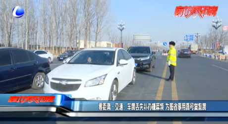 車牌丟失補辦嫌麻煩 為圖省事用真號做假牌