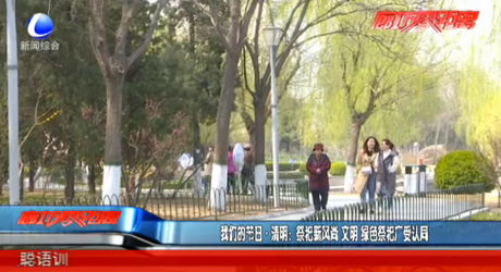我們的節(jié)日 清明：祭祀新風尚 文明 綠色祭祀廣受認同