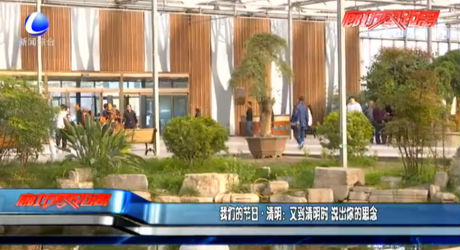 我們的節(jié)日 清明：又到清明時(shí) 說出你的思念