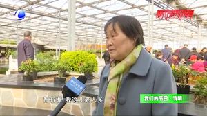 我們的節(jié)日·清明：又到清明時(shí) 說出你的思念