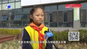 交通安全進(jìn)校園 安全知識半成長