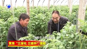 香河縣農(nóng)業(yè)氣象專(zhuān)家聯(lián)盟為農(nóng)業(yè)增產(chǎn) 農(nóng)民增收提供支撐