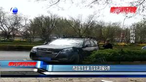 市區(qū)發(fā)生車禍 汽車扎進綠化帶