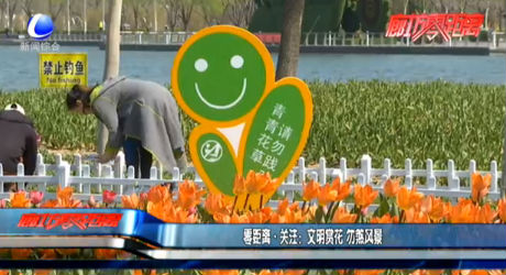 零距離·關注：文明賞花 勿煞風景