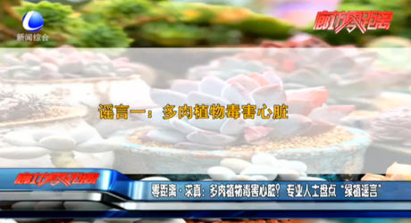 零距離求真：多肉植物毒害心臟？專業(yè)人士盤點(diǎn)“綠植謠言”