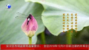 今日立夏：孟夏之日 天地始交 萬(wàn)物并秀