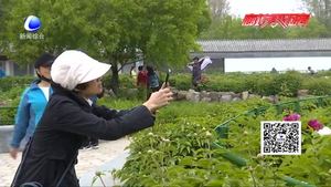 老年人期盼”說走就走的旅行“跟團游不應高門檻