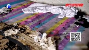 停電后椅子“自燃”差點燒了家？竟是電吹風惹的禍