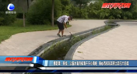 零距離·熱線：公園水渠內驚現(xiàn)千只小青蛙 熱心市民將其撈出放歸大自然