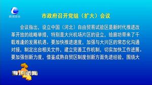 市政府召開黨組（擴(kuò)大）會議