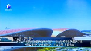 北京大型國際機場廊坊臨空經濟區(qū)1自由貿易試驗區(qū)廊坊區(qū)域上海政策推介會新聞側記：共謀發(fā)展 共贏未來