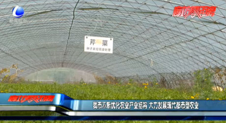 我市不斷優(yōu)化農業(yè)產業(yè)結構 大力發(fā)展現(xiàn)代都市型農業(yè)