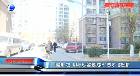 零距離·關(guān)注：超14天無人領(lǐng)養(yǎng)流浪犬實行“安樂死” 你怎么看？
