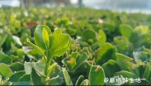 廊坊好生活，讓你的生活有滋有味