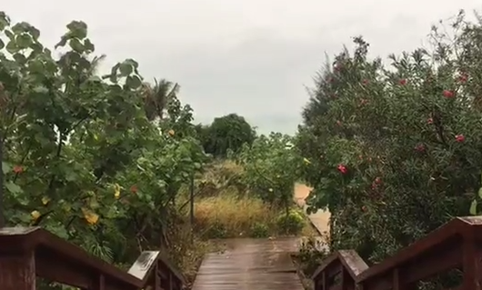 “海陸風光”