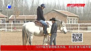 馬術(shù)俱樂部落戶永清韓村 普及國際馬聯(lián)競(jìng)賽項(xiàng)目——REINING