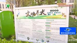 創(chuàng)城，我們一起：專項(xiàng)整治在行動(dòng) 引導(dǎo)市民依法文明養(yǎng)犬